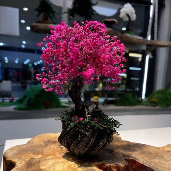 بونسای ساکورا ژاپنی صورتی
